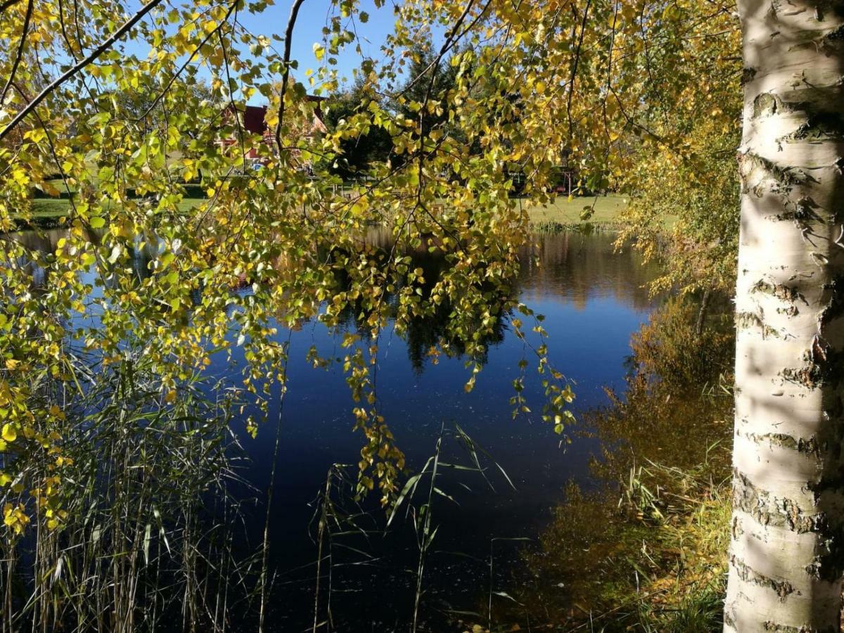 Vila Wydrza-Przystan Mirsk Exteriér fotografie